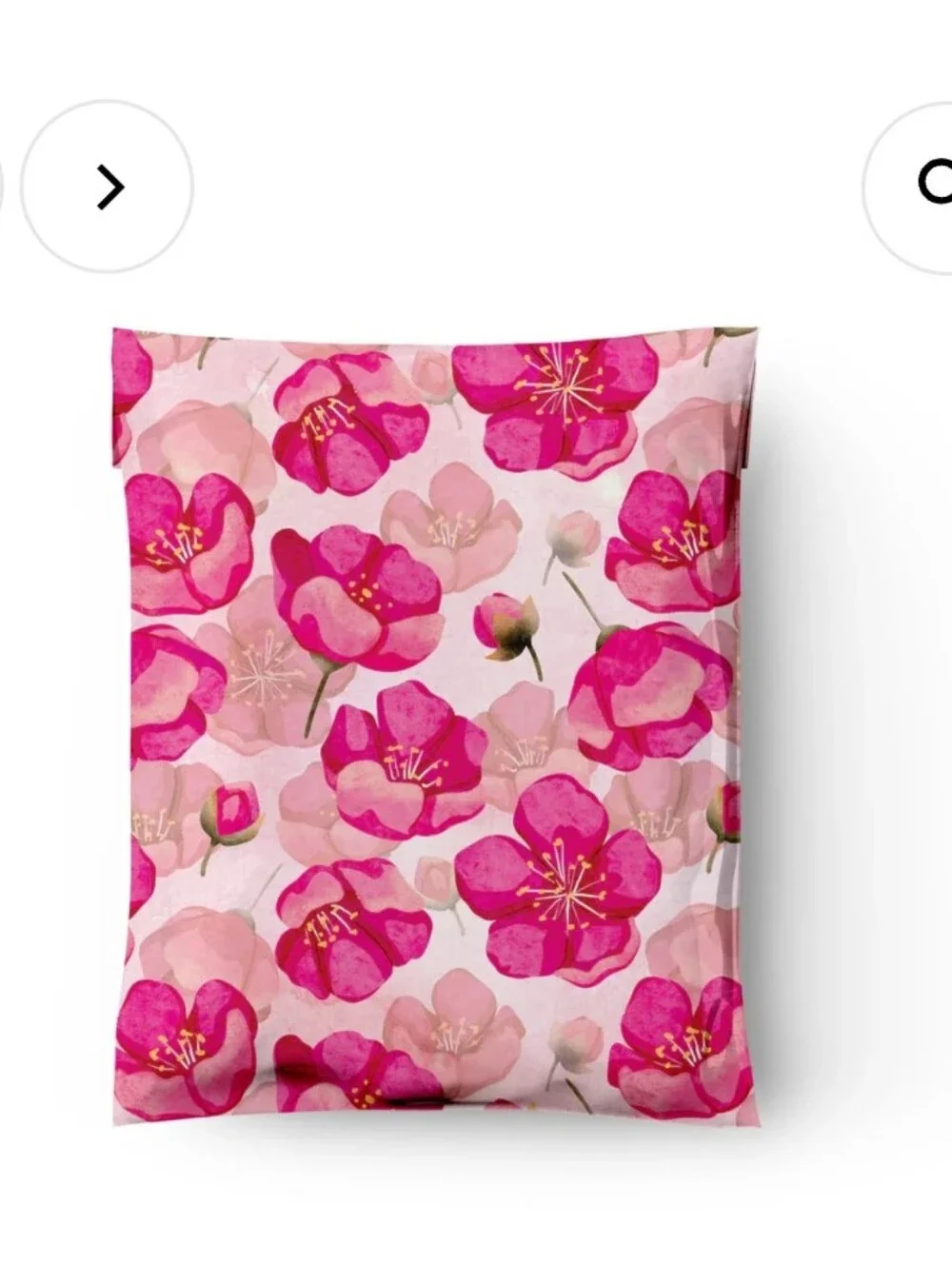 Designer Pink Poppies Polymailers 20 10× 13 Inches